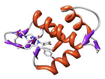 Image: Binding of a Nutlin to the enzyme mdm2 (shown in red) (Photo courtesy of the BioChemoInformatics Lab, Bologna, Italy).