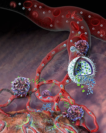 Image: A cutaway illustration of the nanogel drug delivery system. The small particle can carry multiple drug agents to a specific target, such as the site of a tumor (Photo courtesy of Nicolle Rager Fuller, [US] National Science Foundation).