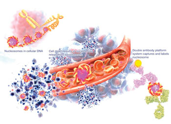 Image: A diagram of the NuQ biomarker assay for prostate cancer (Photo courtesy of VolitionRx).