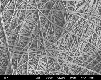 Image: A 3D nanofiber net formed by the supergelators to trap oil molecules (Photo courtesy of IBN at A*STAR / Institute of Bioengineering and Nanotechnology).