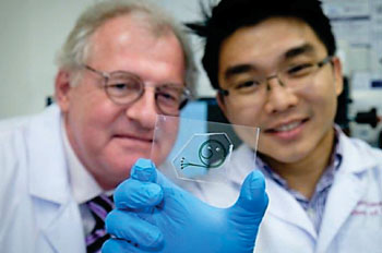 Image: Professor Bernhard Boehm and Dr Hou Han Wei holding their quick test kit for inflammation in diabetic patients (Photo courtesy of Nanyang Technological University).