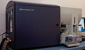Флуоресцентный клеточный сортер BD FACSAria III (фото любезно предоставлено компанией BD).