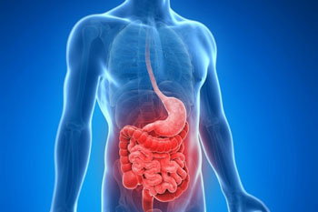 Image: Crohn’s disease is one of the most common chronic illnesses (Photo courtesy of SPL).