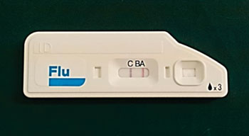 Image: The rapid influenza detection test Quick Navi-Flu (Photo courtesy of Otsuka Pharmaceutical).