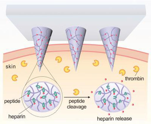 Image: A diagram of thrombin-responsive patch that releases heparin in response to thrombin (Photo courtesy of Yuqi Zhang).