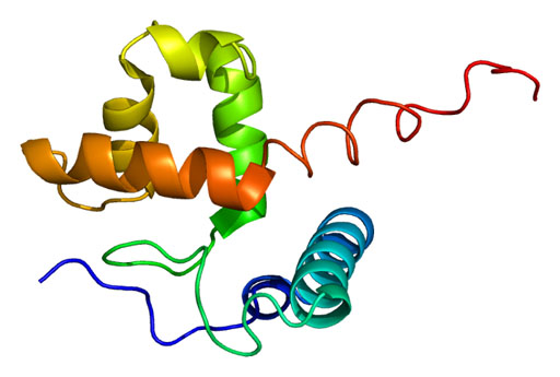 Image: The molecular model of the ARID1A protein (Photo courtesy of Wikimedia Commons).