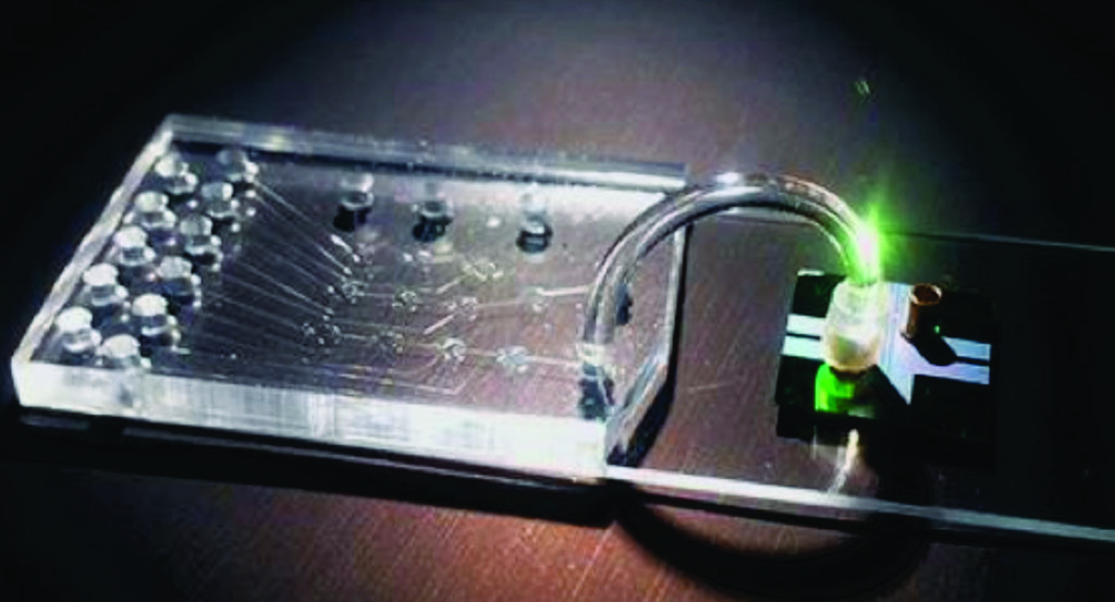 图片:用于制备样本的微流控芯片和对单个分子进行光检测的光流控芯片(图片蒙Joshua W. Parks惠赐)。 图片:用于制备样本的微流控芯片和对单个分子进行光检测的光流控芯片(图片蒙Joshua W. Parks惠赐)。