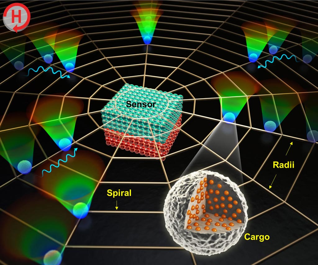 Image: A diagram of a biosensor platform using magnetic patterns resembling a spider web (Photo courtesy of DGIST).