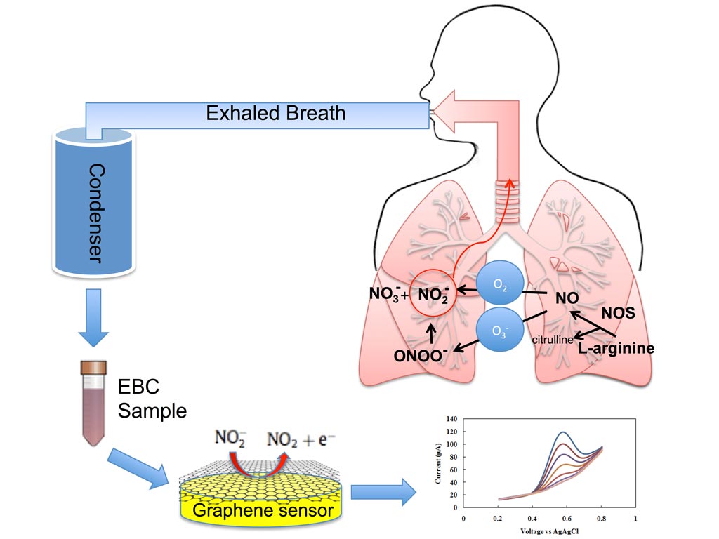Image: Exhaled breath condensate is rapidly analyzed by a new graphene-based nanoelectronic sensor that detects nitrite, a key inflammatory marker in the inner lining of the respiratory airway (Photo courtesy of Azam Gholizadeh, Rutgers University).