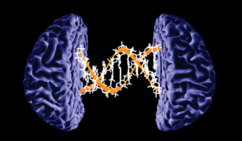 Image: A new large-scale genetic study provides a better understanding of Alzheimer\'s disease by uncovering two new risk genes (Photo courtesy of the American Academy of Neurology).