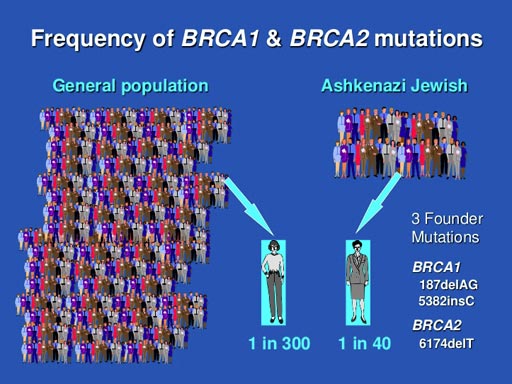 Image: A new study suggests that Ashkenazi Jewish women can benefit from genetic testing for all known breast cancer genes (Photo courtesy of the University of Washington).