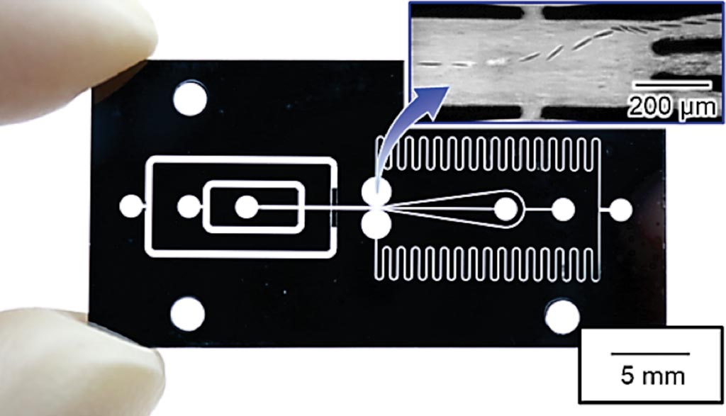 Image: The developed microfluidic chip enables sorting of cells at high speed of 16 microseconds. The enlarged view shows a demonstration of on-chip cell sorting of a Euglena gracilis cell (Photo courtesy of Nagoya University).