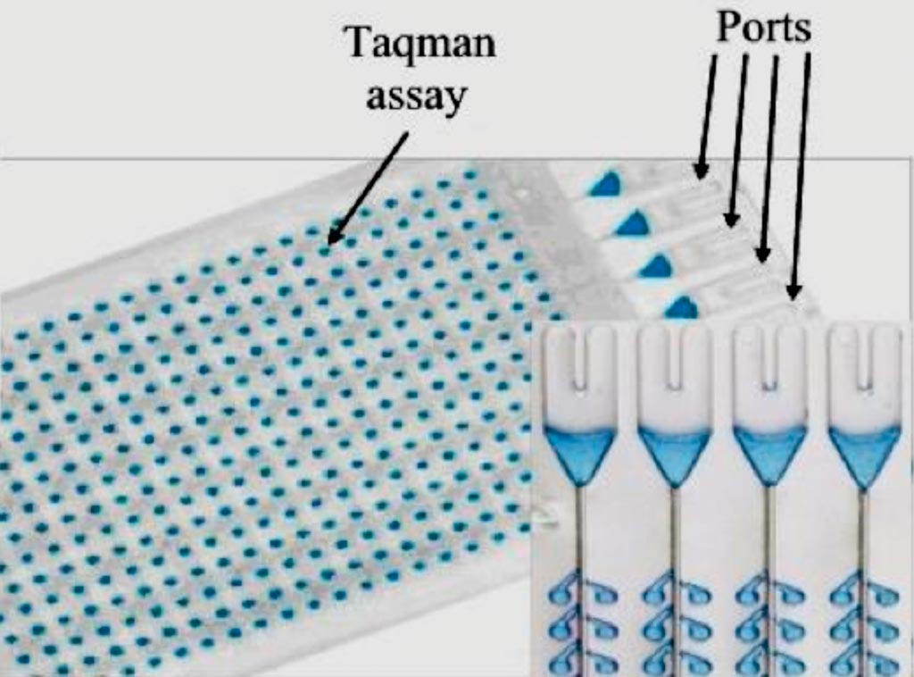 图片：TaqMan低密度阵列卡示例；每孔含一个特定miRNA正向引物，一个特定的miRNA TaqMan探针，一个反向引物“尾巴”（照片由Dana-Farber Cancer Institute提供）。