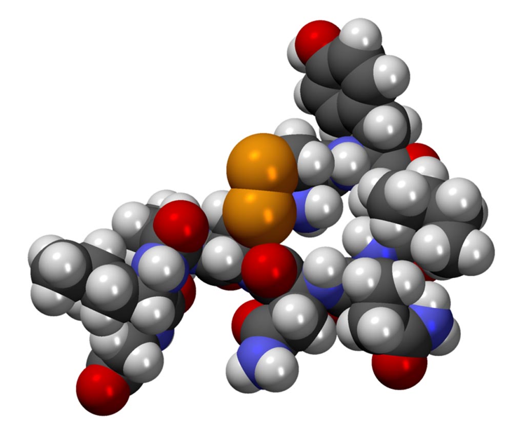 Image: A CPK model of the oxytocin molecule (Photo courtesy of Wikimedia Commons).