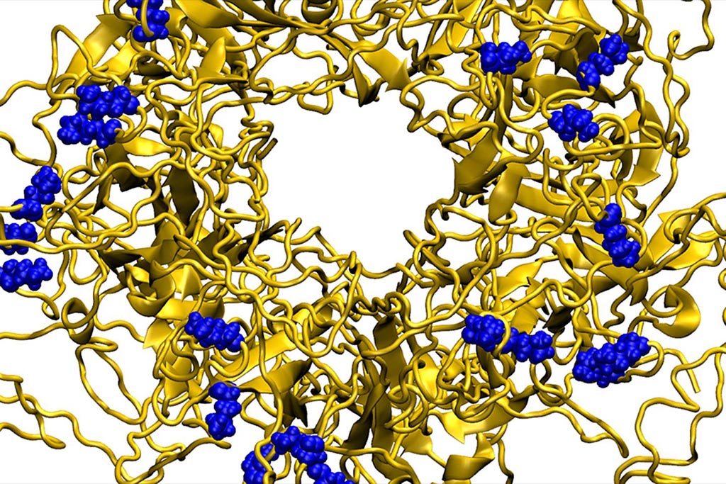 Image: A molecular dynamics model showing a nanoparticle binding to the outer envelope of the human papillomavirus (Photo courtesy of Dr. Petr Kral, Ecole Polytechnique Fédérale de Lausanne).