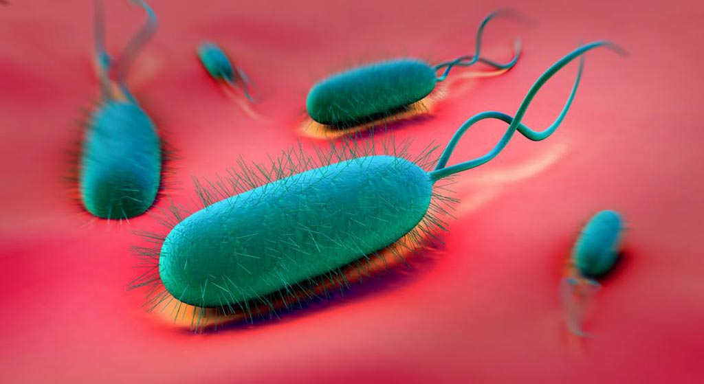 Image: An artist’s rendition of H. pylori (Photo courtesy of Medical News Today).