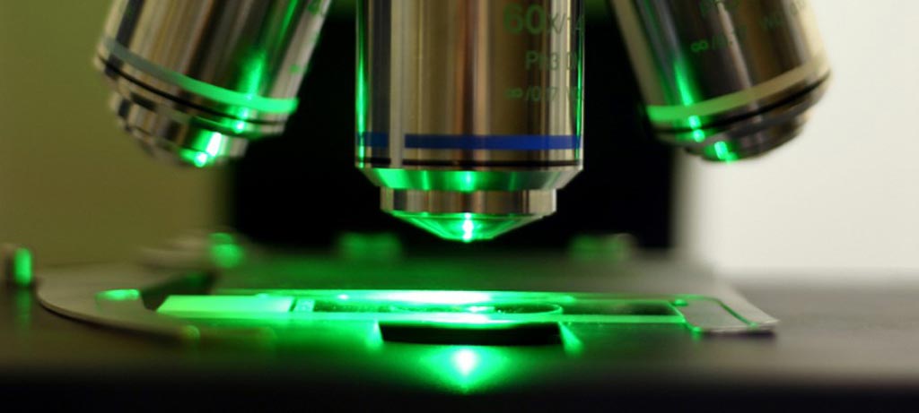 Image: The global immunofluorescence assay market is projected to reach USD 2 billion by 2023 (Photo courtesy of iStock). Image: The global immunofluorescence assay market is projected to reach USD 2 billion by 2023 (Photo courtesy of iStock).