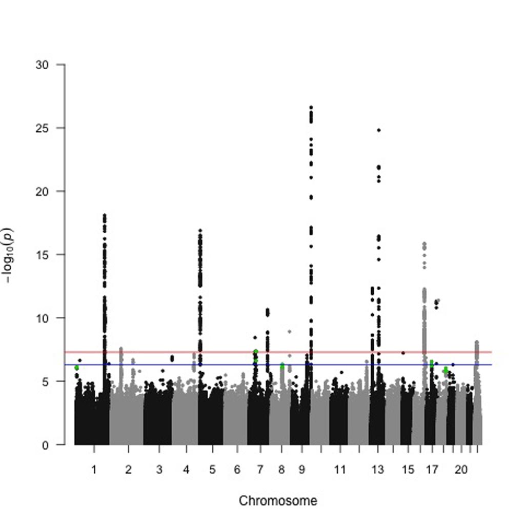 Image: A Manhattan plot of the study results show taller peaks that denote genetic loci most significantly associated with pancreatic cancer risk (Photo courtesy of Dr. Alison Klein, Johns Hopkins University).