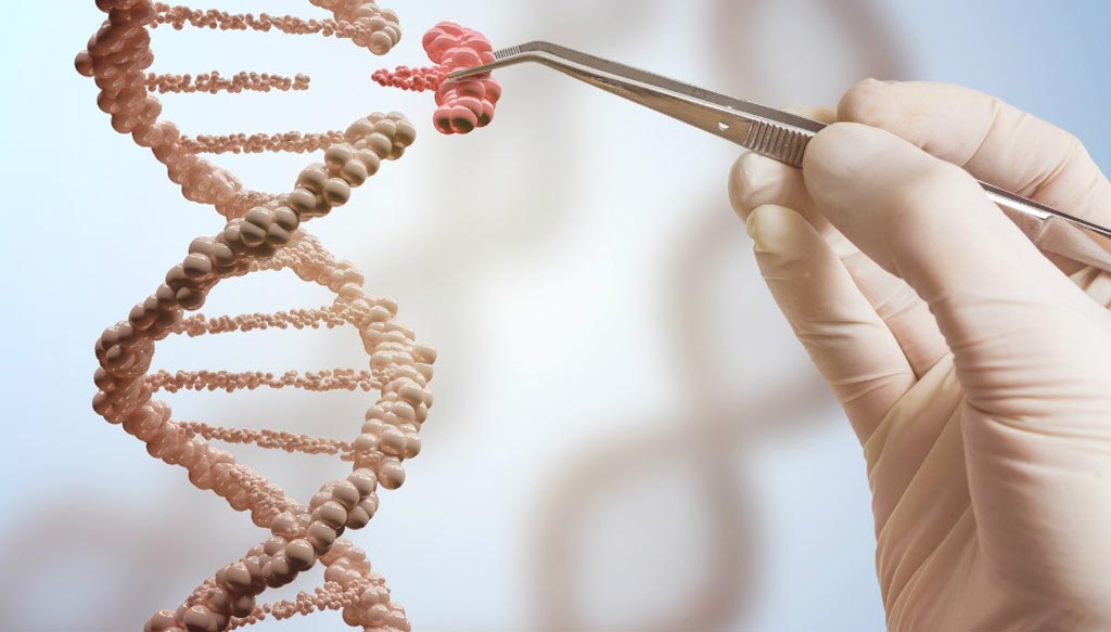 Image: Gene-editing technology is moving closer to becoming a therapeutic reality due to the introduction of artificial guide RNAs that increase the precision of the technique (Photo courtesy of the University of Alberta).