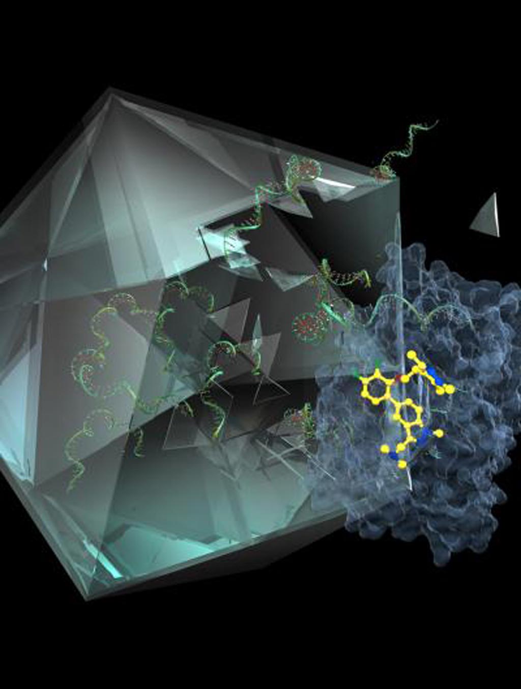 Image: The novel molecule IMP-1088 (yellow) blocks human NMT (blue), a protein essential for the cold virus to assemble the geometric capsid shell, which encloses its RNA genome (green) (Photo courtesy of Imperial College London).