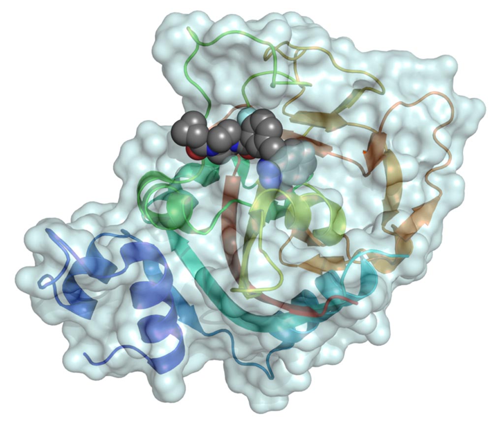 Image: A mixed surface–ribbon representation of the catalytic domain of human poly (ADP-ribose) polymerase 1 (PARP1) binding the small-molecule inhibitor olaparib (shown as a space-filling model) (Photo courtesy of Wikimedia Commons).