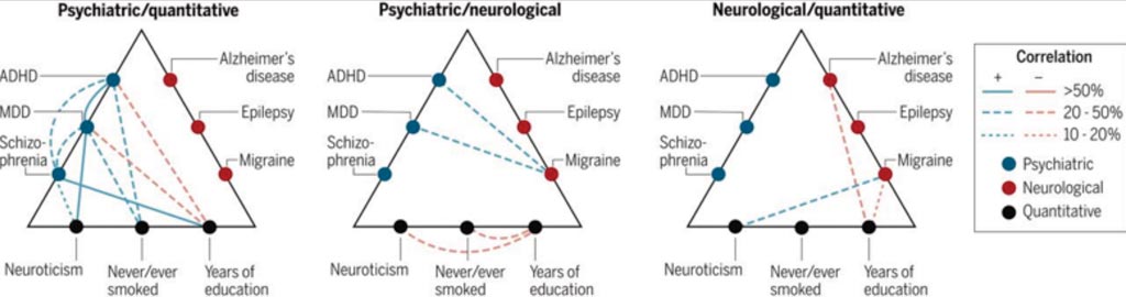 Image: Genetic risk correlations among brain disorders and quantitative phenotypes (Photo courtesy of the Brainstorm Consortium).