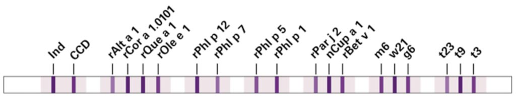 Специфические IgE-антитела против ингаляционных аллергенов, которые обычно встречаются в Южной Европе, могут быть обнаружены и дифференцированы с использованием нового многопараметрического иммуноблот-теста EUROLINE DPA-Dx Pollen Southern Europe 1 (фото любезно предоставлено EUROIMMUN).