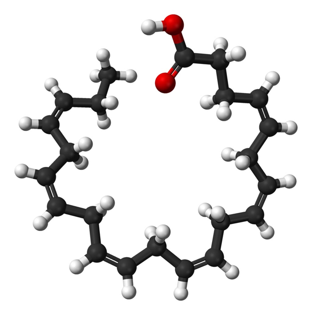 Image: A ball-and-stick model of the docosahexaenoic acid (DHA) molecule. DHA is an omega-3 fatty acid that is a primary structural component of the human brain, cerebral cortex, skin, and retina (Photo courtesy of Wikimedia Commons).