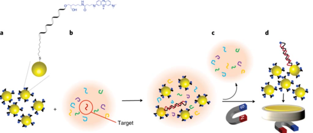 Image: Nucleic acid hybridization on an electrically reconfigurable network of gold-coated magnetic nanoparticles enables microRNA detection in blood (Photo courtesy of University of New South Wales).