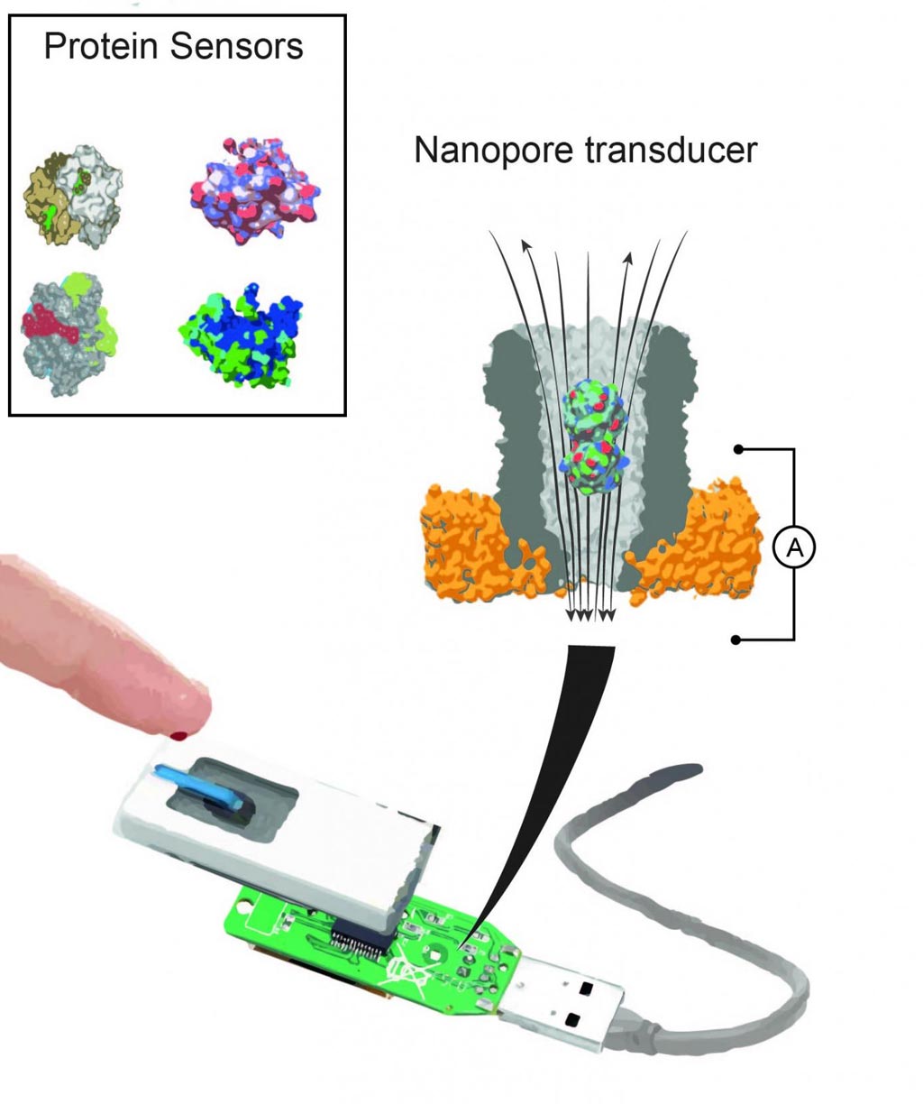Image: A nanopore device can contain different binding proteins. Once inside the pore, these proteins act as transducers to identify specific small molecules in a sample of body fluid (Photo courtesy of Dr. Giovanni Maglia, University of Groningen).