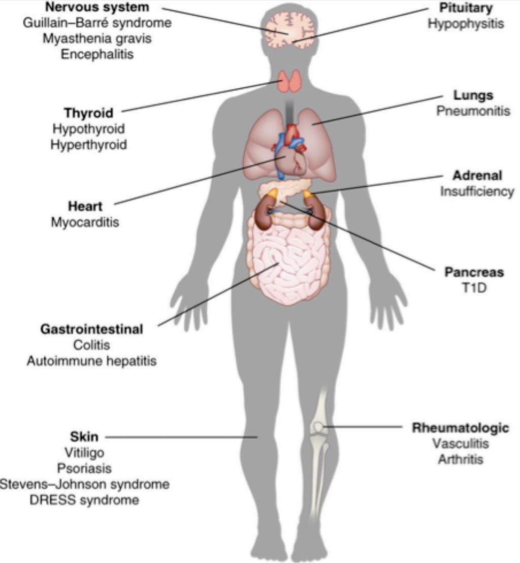 Image: A diagram of side effects of immunotherapy (Photo courtesy of Kim Caesar).