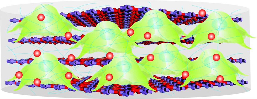 Image: A biodegradable inorganic nanoscaffold consisting of stem cells, proteins, and drugs for advanced stem cell therapy and drug delivery (Photo courtesy of KiBum Lee, Letao Yang and Sy-Tsong Dean Chueng, Rutgers University).