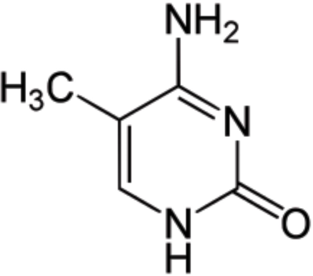 Image: 5-Methylcytosine is a methylated form of the DNA base cytosine that may be involved in the regulation of gene transcription (Photo courtesy of Wikimedia Commons).