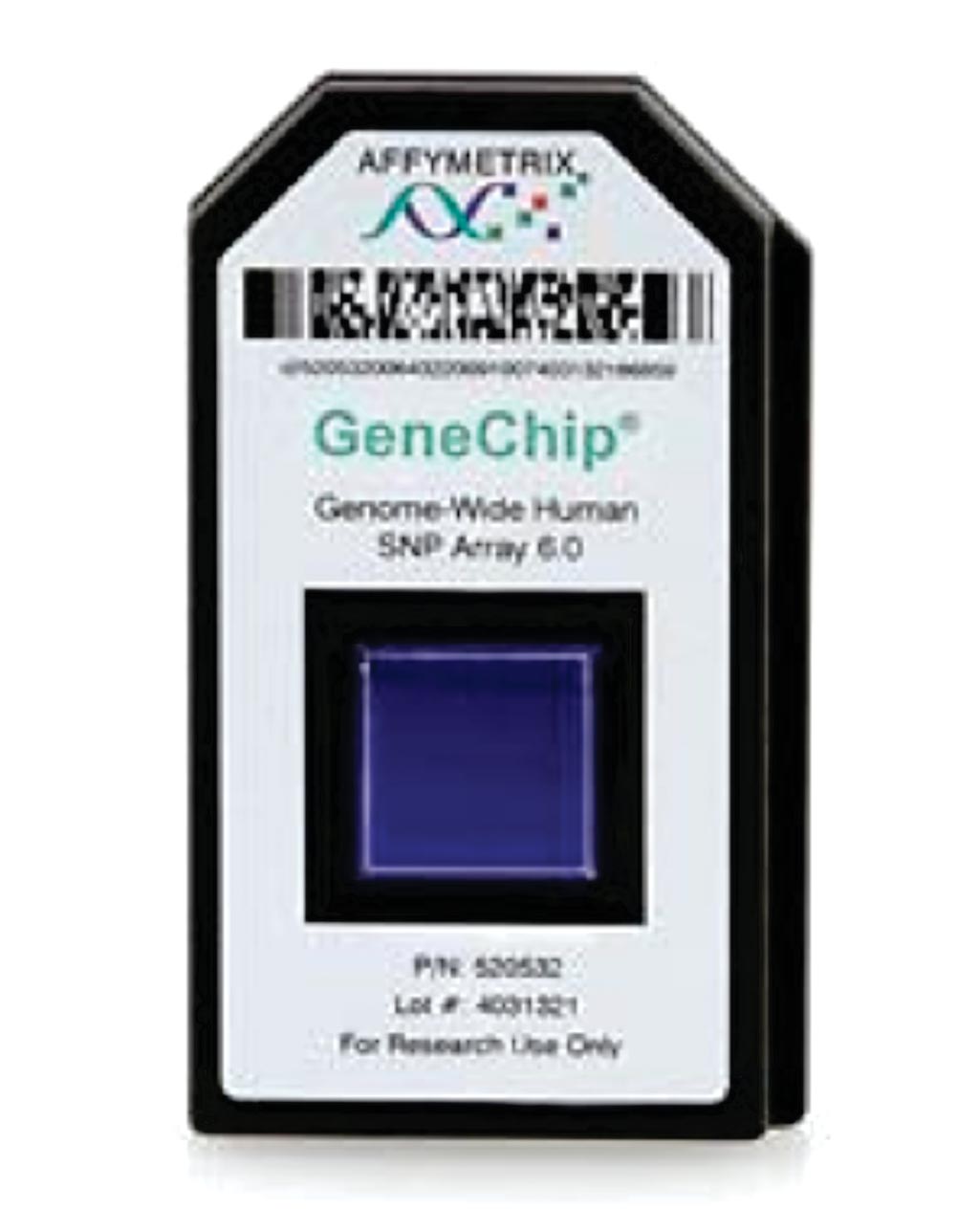 Image: Genome-wide human SNP array 6.0 GeneChip (Photo courtesy of Affymetrix).