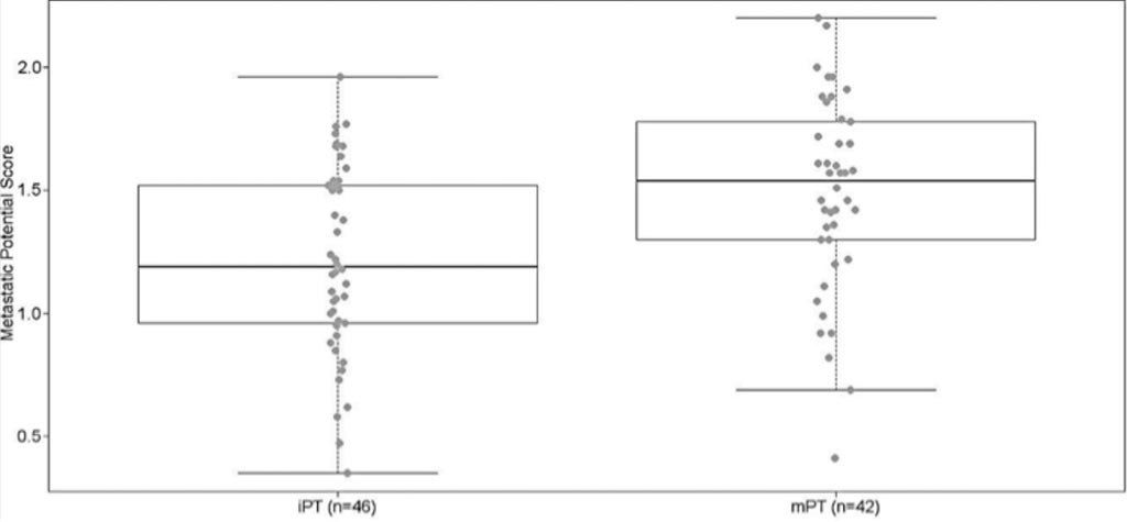 Image: A comparison of OncoScan array CGH assay–derived metastasis potential scores (MPSs) for indolent primary tumor (iPT) and metastasis-prone primary tumor (mPT) samples (Photo courtesy of Albert Einstein College of Medicine).