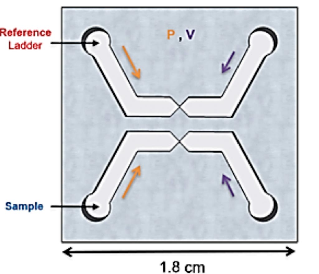 Image: A sketch of µLAS chip with two independent channels actuated with the same pressure and voltage. Each channel contains a funnel region that functions to separate and concentrate DNA in line (Photo courtesy of University of Lausanne).