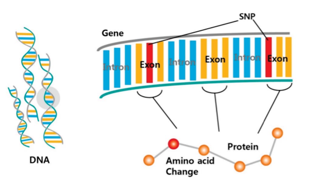Image: A diagram of whole-exome sequencing to identify genetic variants (Photo courtesy of NGXBIO).