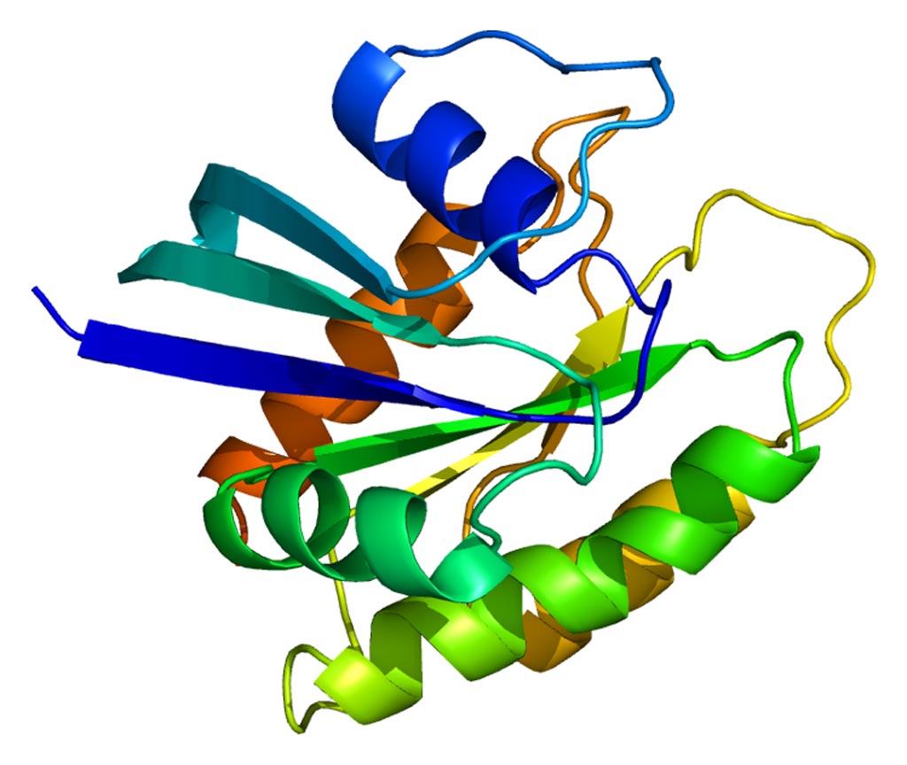 Image: The structure of the NRAS protein (Photo courtesy of Wikimedia Commons).