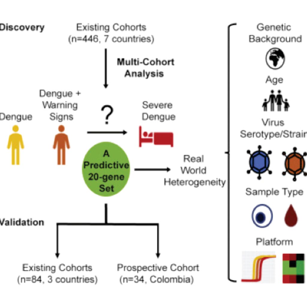 Image: A diagram of the 20-Gene Set Predictive of Progression to Severe Dengue study (Photo courtesy of Stanford University School of Medicine).