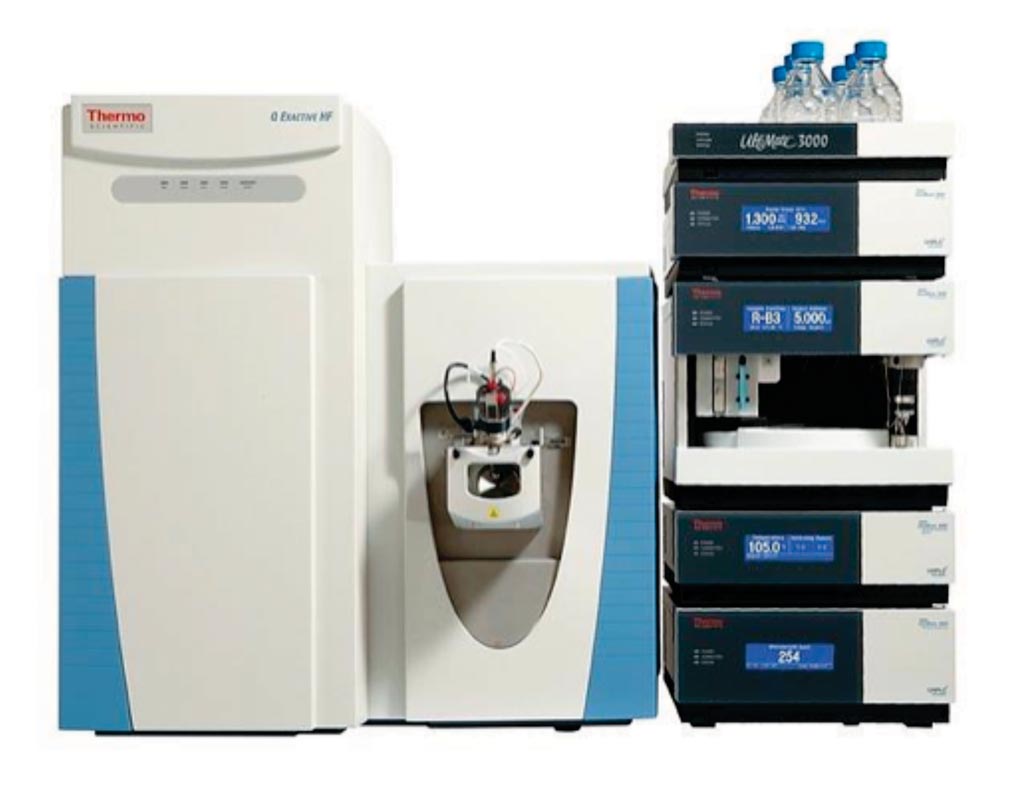 Image: Q-Exactive HF Hybrid Quadrupole-Orbitrap mass spectrometer coupled to a Dionex Ultimate 3000 RSLC Nano system (Photo courtesy of Thermo Fisher Scientific).