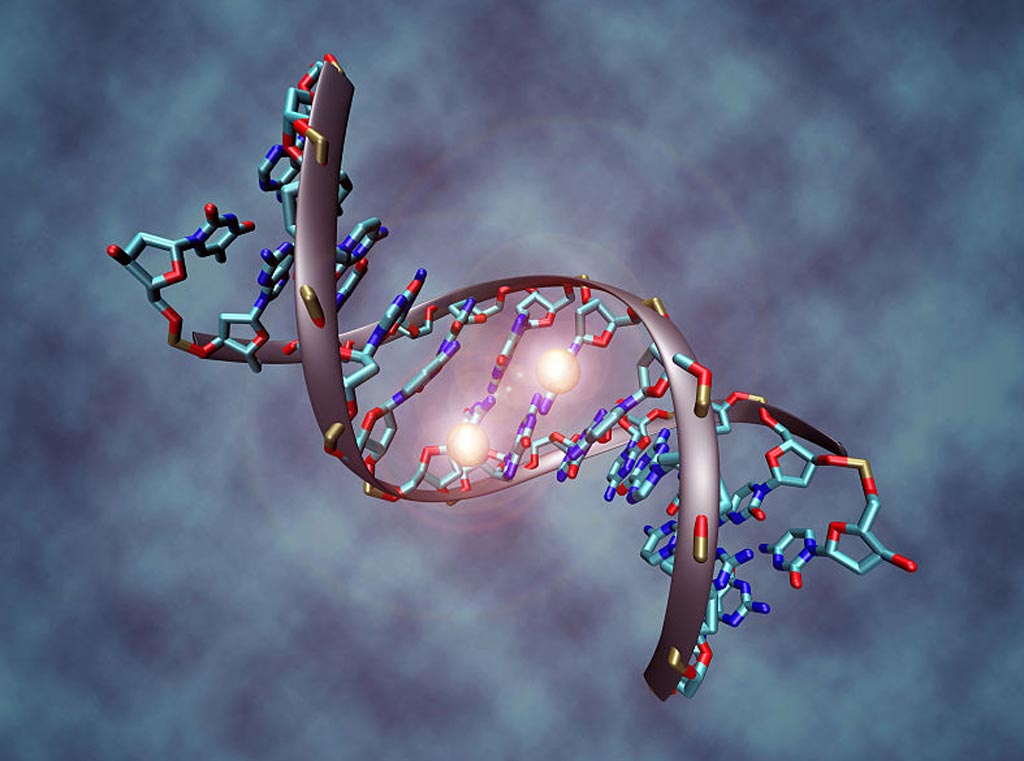 Image: A representation of a methylated DNA molecule. The two white spheres represent methyl groups bound to two cytosine nucleotide molecules (Photo courtesy of Wikimedia Commons).