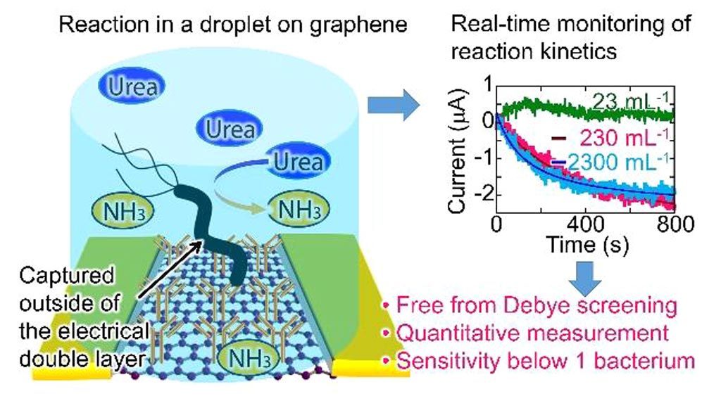 Image: An illustration of a bacterial detection by the G-FET device (Photo courtesy of Osaka University).