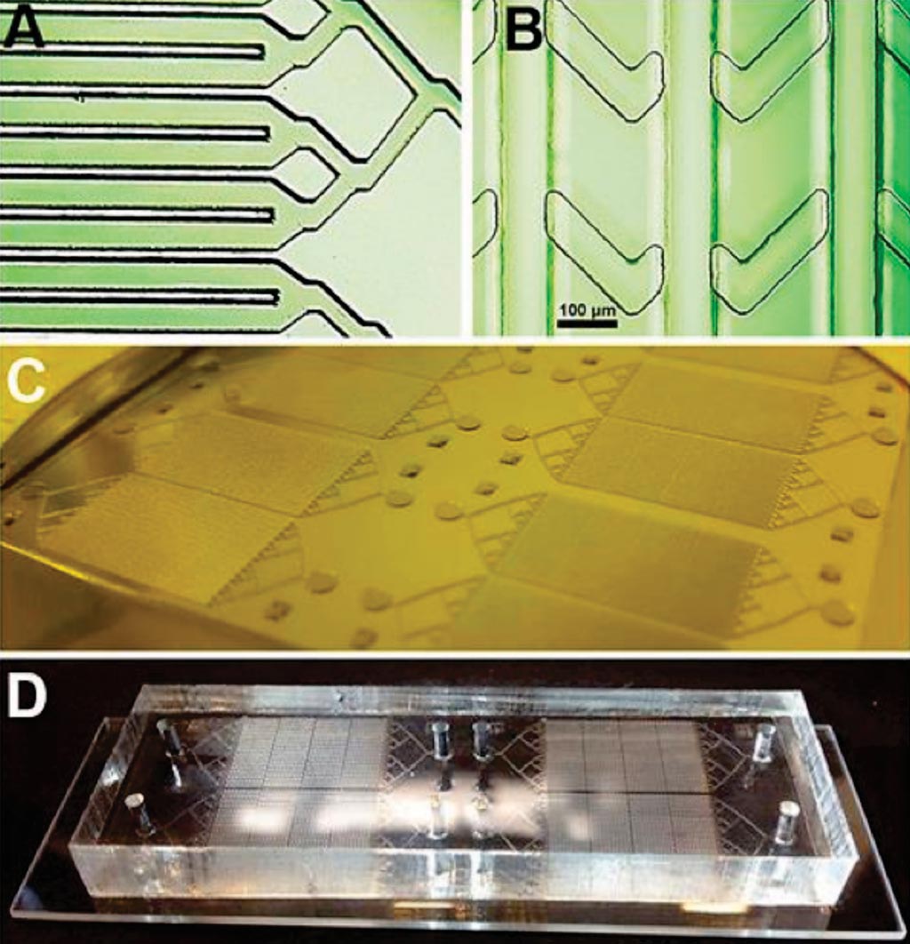 Image: (A and B) Photomicrographs of the layers of the device; (C) the mold ready for casting and (D) the chip mounted on a slide (Photo courtesy of San Diego State University).