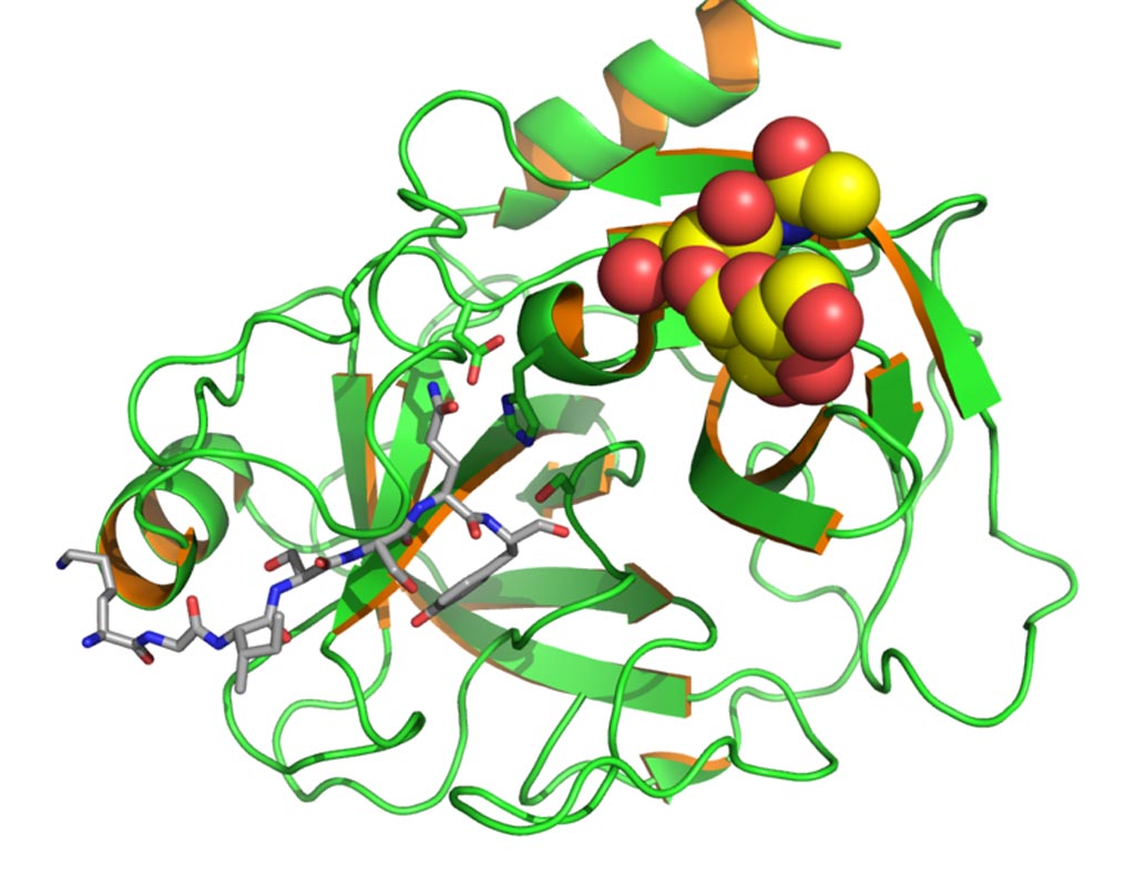 Image: The serum prostate cancer biomarker prostate-specific antigen (PSA) (Photo courtesy of Wikimedia Commons).