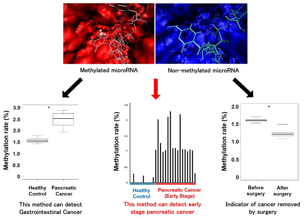 Image: By measuring the methylation rate of microRNA, various cancer states can be detected (Photo courtesy of Osaka University).