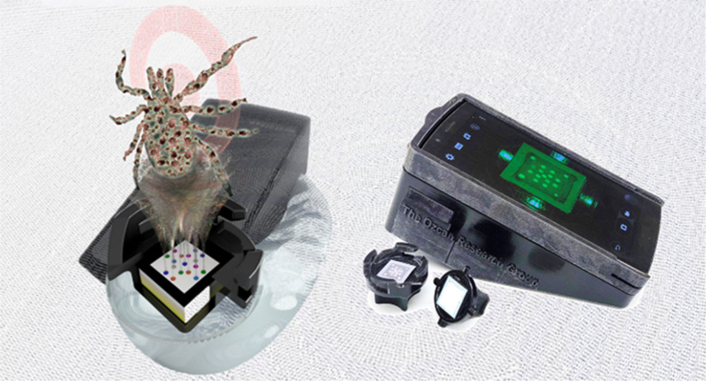 Image: Point-of-care serodiagnostic test for early-stage Lyme disease using a multiplexed paper-based immunoassay and machine learning (Photo courtesy of American Chemical Society).