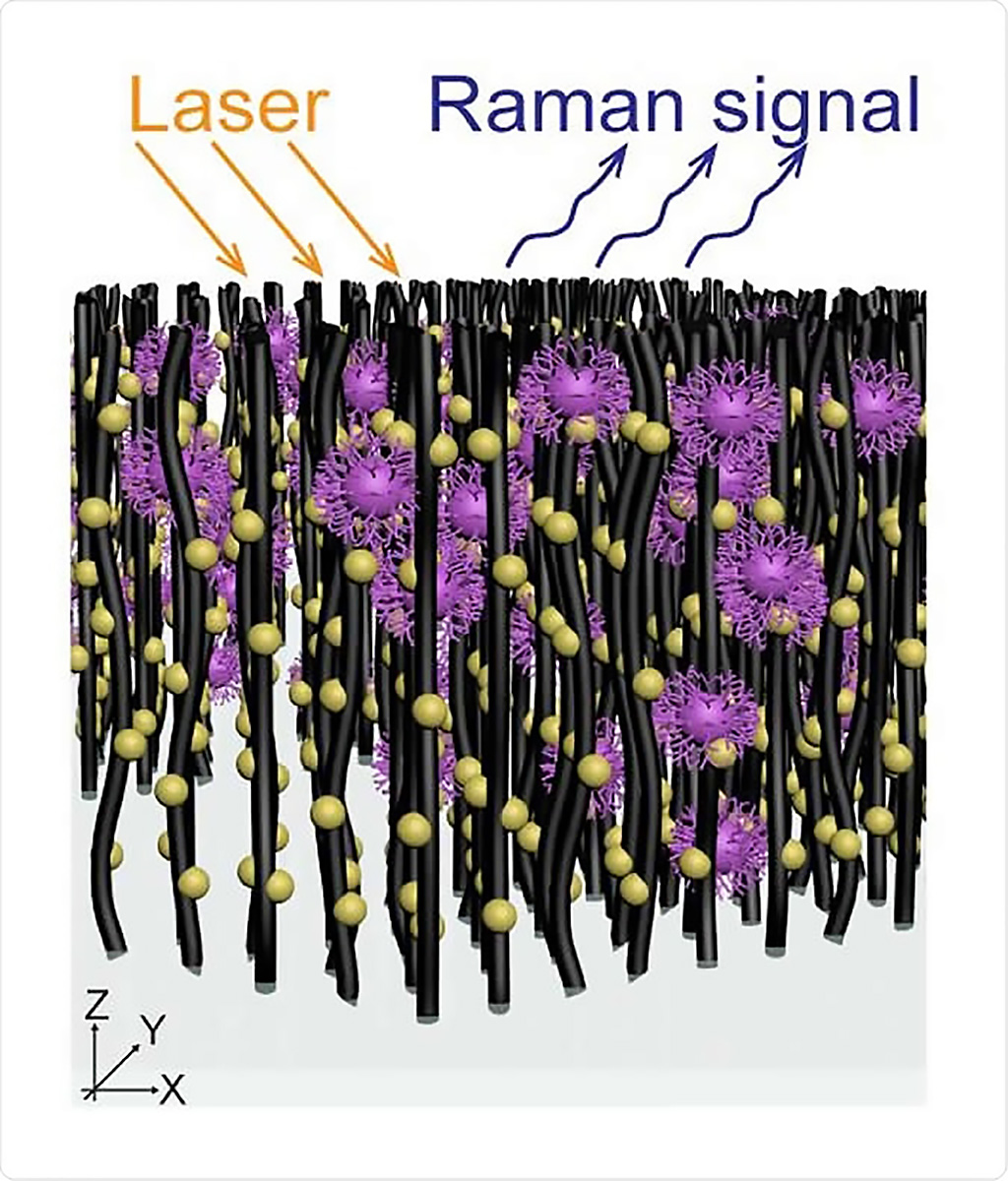 Image: Schematic of an array of nanotubes decorated with gold nanoparticles that capture virus molecules for in situ Raman spectroscopy for label-free optical virus identification (Photo courtesy of Professor Mauricio Terrones)