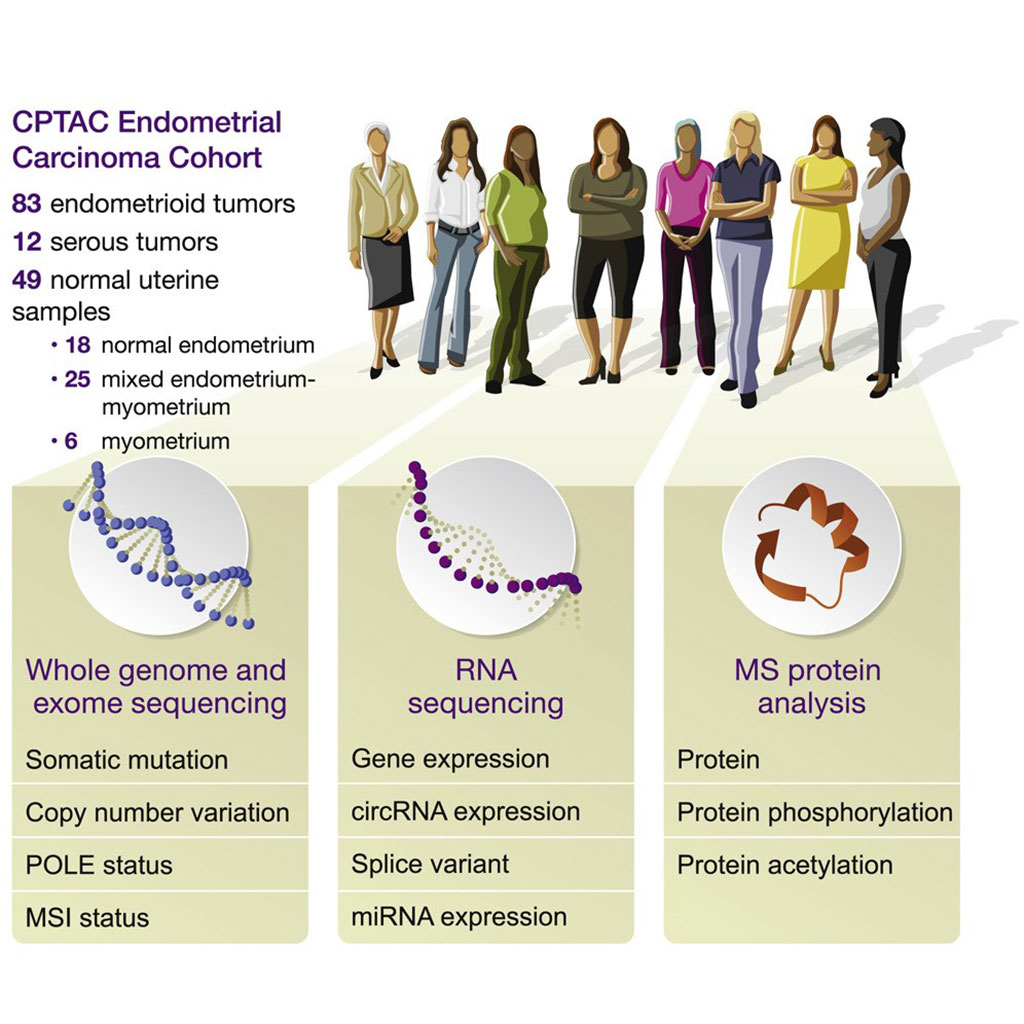 Image: Proteogenomic Characterization of Endometrial Carcinoma (Photo courtesy of the Clinical Proteomic Tumor Analysis Consortium).