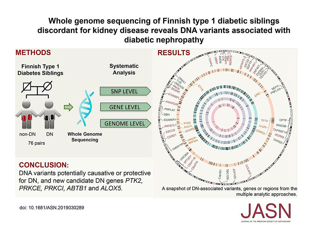 Image: Whole-Genome Sequencing of Finnish Type 1 Diabetic Siblings Discordant for Kidney Disease Reveals DNA Variants associated with Diabetic Nephropathy (Photo courtesy of Duke University).