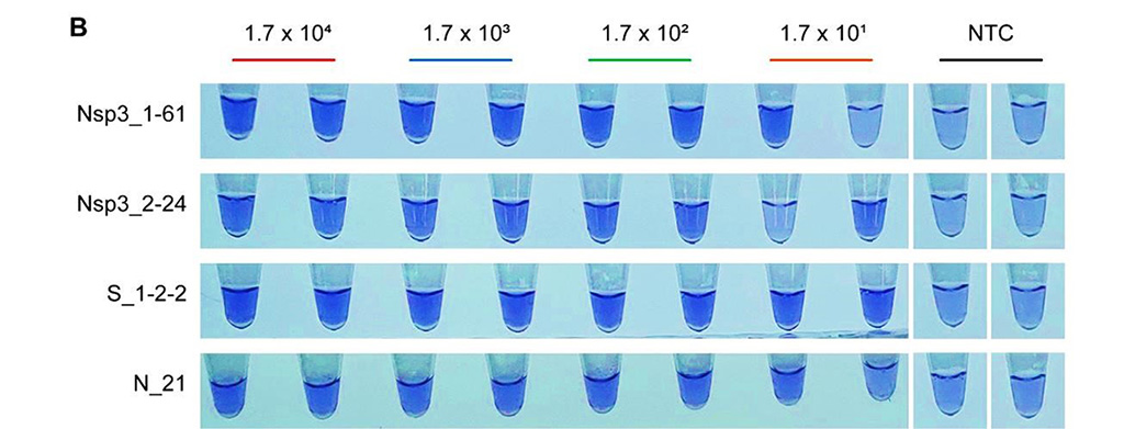 Image: Lauco crystal violet (LCV) colorimetric detection results of limit of detection (LoD) tests for the primer sets used for SARS-CoV-2 detection. 20U/reaction of reverse transcriptase were used (Photo courtesy of Korea Research Institute of Chemical Technology).